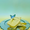 YELLOW CANARY BUTTERFLY ACRYLIC NAPKIN RINGS