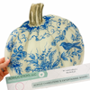 BLUE & WHITE BIRD GOURD ACRYLIC CHARCUTERIE & SNACK BOARD