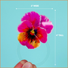 PRETTY PANSY ACRYLIC NAPKIN RINGS