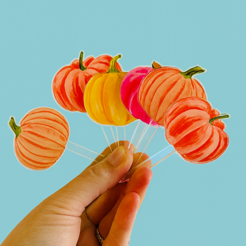 A GROUP OF GOURDS ACRYLIC PARTY PIK STICKS COMBO