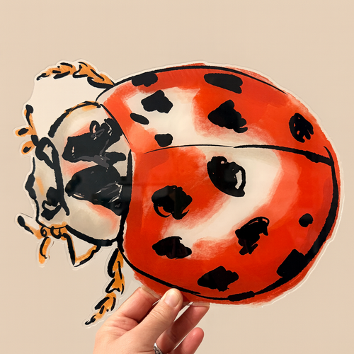 LADYBUG ACRYLIC CHARCUTERIE & SNACK BOARD