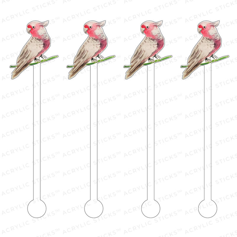 WHITE PARAKEET ACRYLIC STIR STICKS