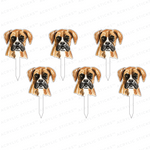 BOXER ACRYLIC PARTY PIK STICKS