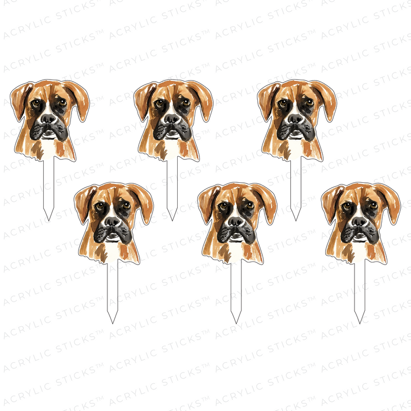 BOXER ACRYLIC PARTY PIK STICKS