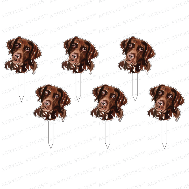 BROWN LAB ACRYLIC PARTY PIK STICKS