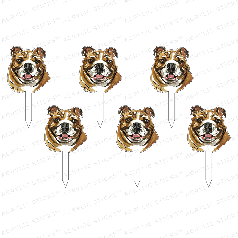 ENGLISH BULLDOG ACRYLIC PARTY PIK STICKS