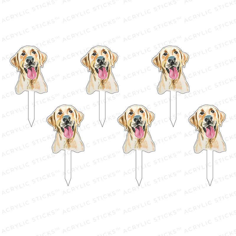 YELLOW LAB ACRYLIC PARTY PIK STICKS