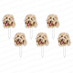 GOLDEN DOODLE ACRYLIC PARTY PIK STICKS