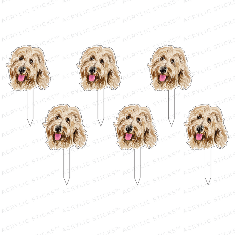 GOLDEN DOODLE ACRYLIC PARTY PIK STICKS