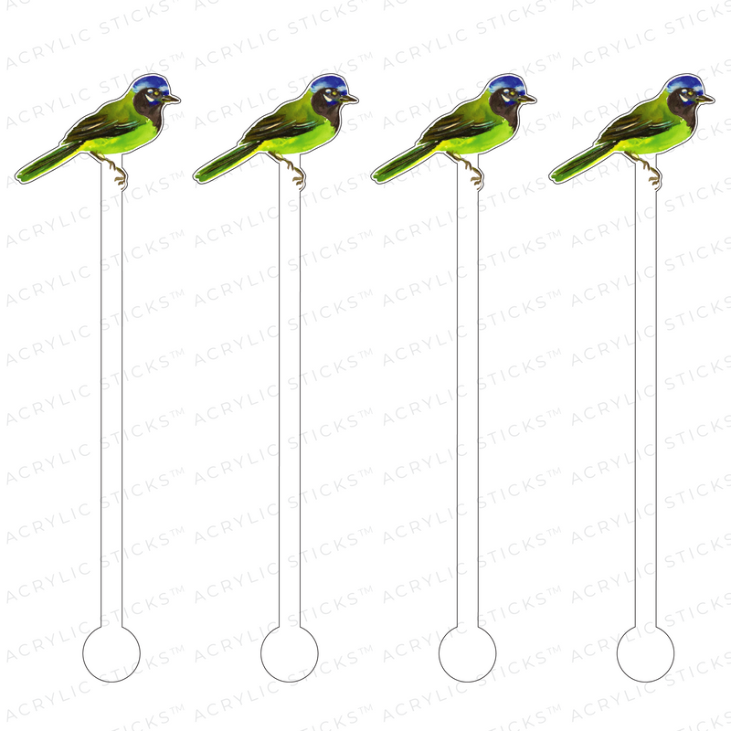 GREEN BIRD ACRYLIC STIR STICKS