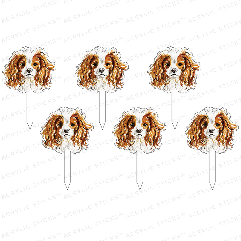 KING CHARLES CAVALIER ACRYLIC PARTY PIK STICKS