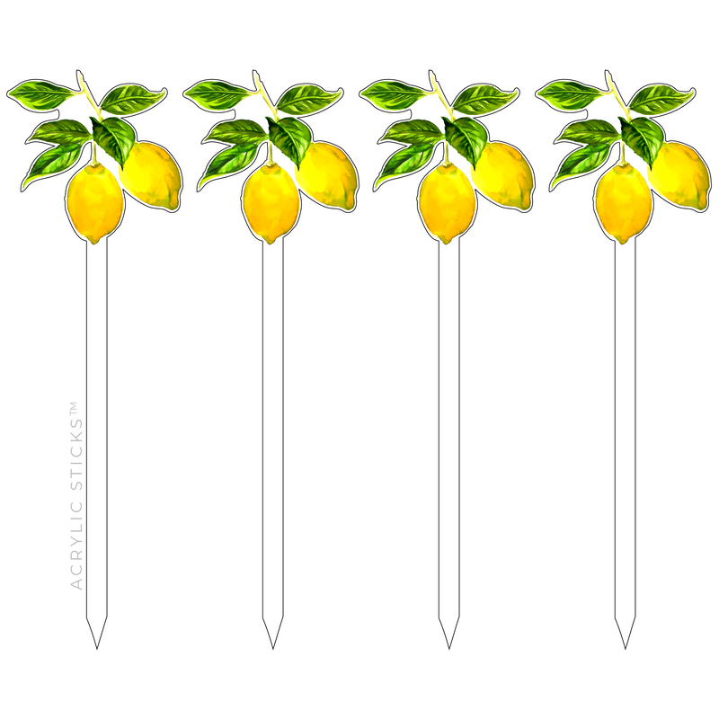 LEMONS ACRYLIC SKEWERS