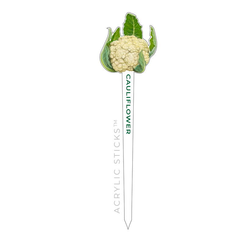 CAULIFLOWER ACRYLIC GARDEN PIK STICK