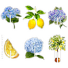 HYDRANGEA & LEMONS ACRYLIC DRINK CLIP COMBO