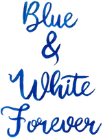 BLUE & WHITE GINGER JAR SHATTER STICK BUNDLE*