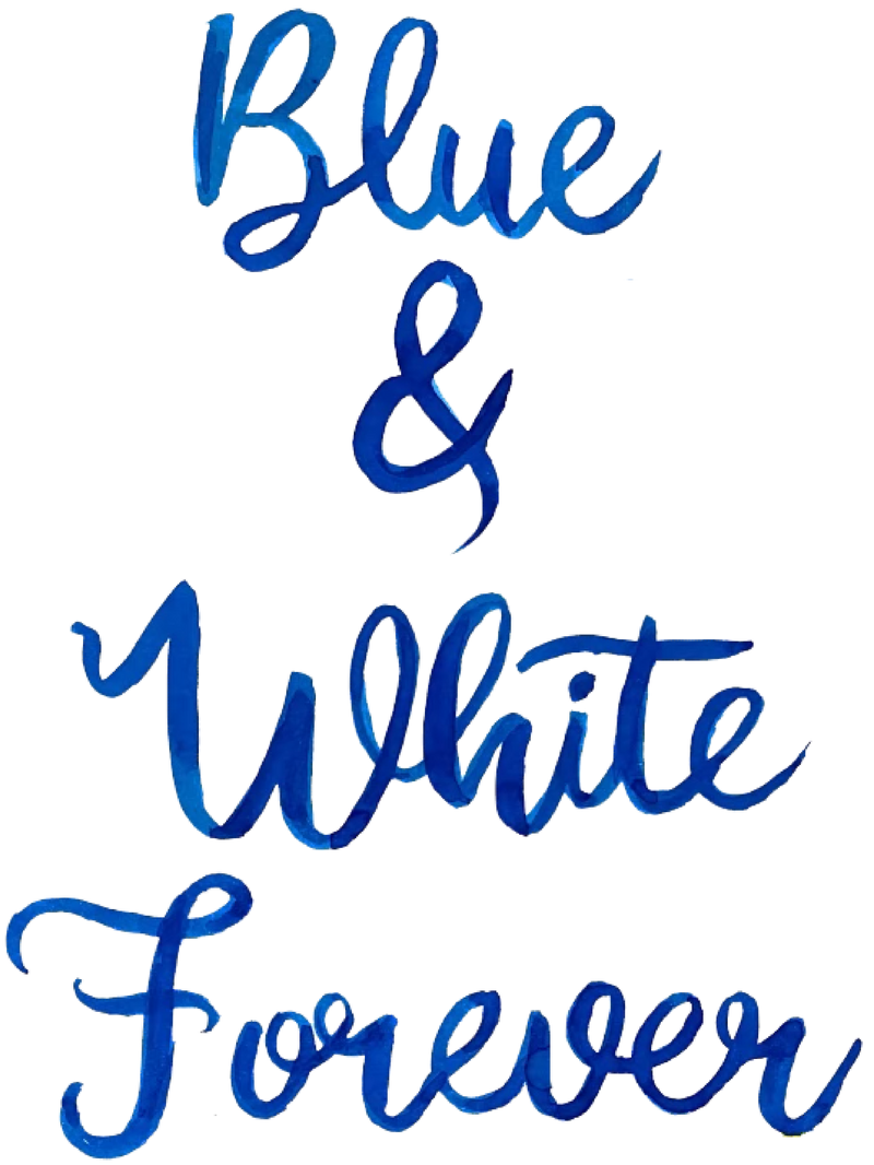 BLUE & WHITE GINGER JAR SHATTER STICK BUNDLE*