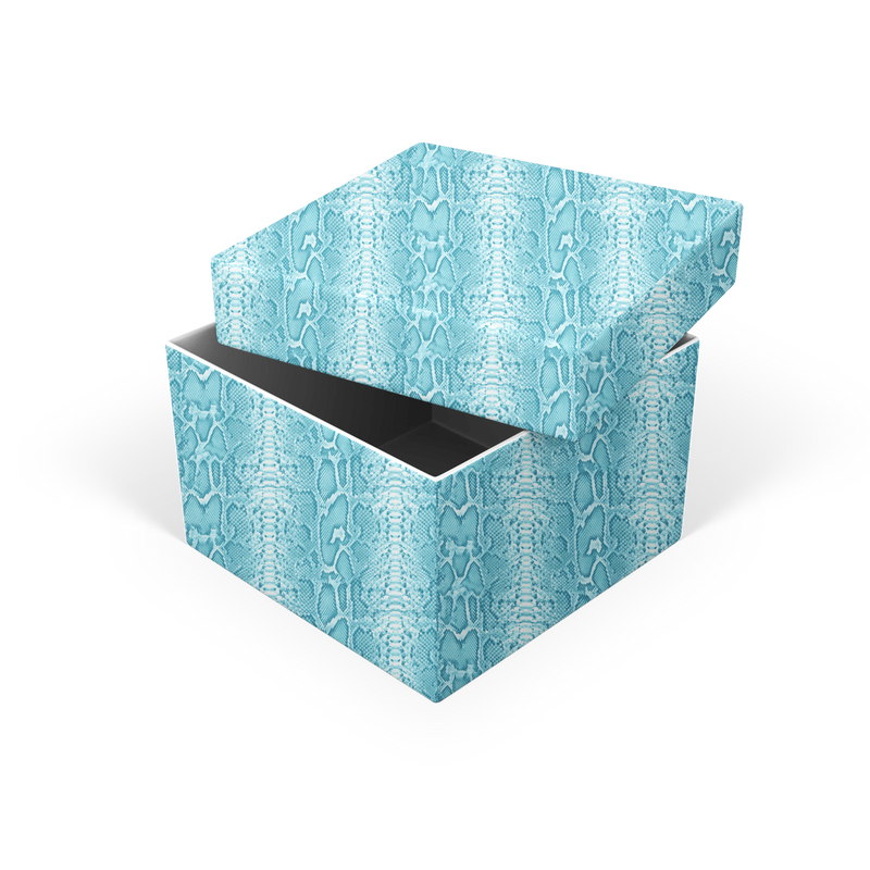 AQUA SNAKESKIN TWO-PIECE DESIGNER GIFT BOX*
