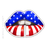 PLUMP PATRIOTIC LIPS ACRYLIC DRINK CLIPS