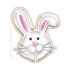EASTER BUNNY SUGAR COOKIE ACRYLIC DRINK CLIPS